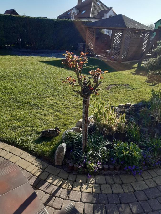 Homestay Goscinne Augustyna Leba
